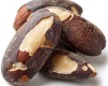 brazil nut